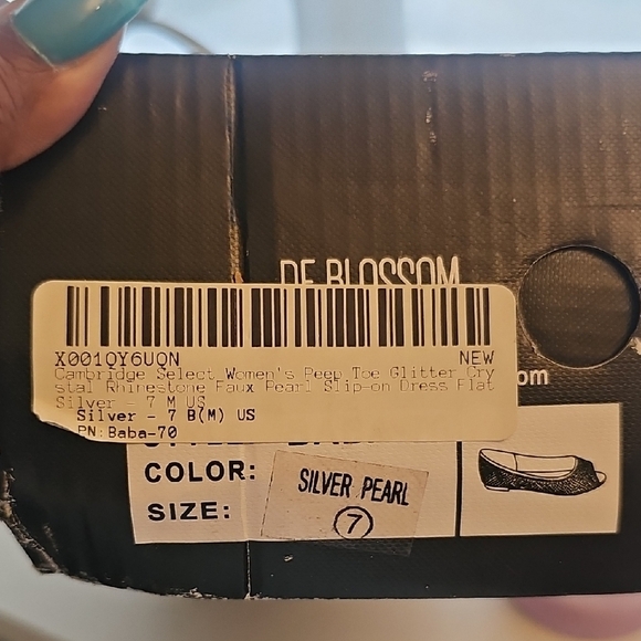 De Blossom Collection Glittering Silver Flats - Picture 16 of 16